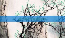 养土狗十大好处是什么
