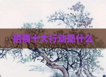 招商十大行动是什么