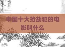 中国十大抢劫犯的电影叫什么