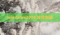 windows2008 域控制器