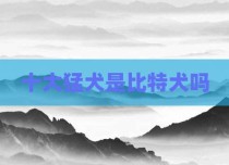 十大猛犬是比特犬吗