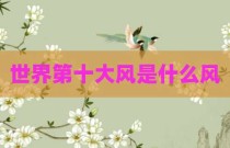 世界第十大风是什么风