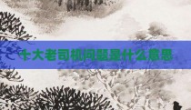 十大老司机问题是什么意思