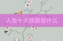 人生十大舒服是什么