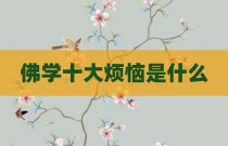 佛学十大烦恼是什么