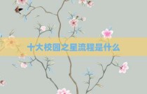 十大校园之星流程是什么