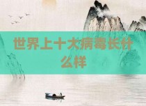 世界上十大病毒长什么样
