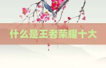 什么是王者荣耀十大