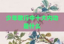 少年歌行中十大内功是什么