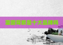 蓝固背胶是十大品牌吗