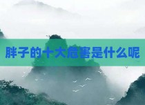 胖子的十大危害是什么呢