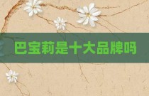 巴宝莉是十大品牌吗