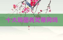 十大弱国有梵蒂冈吗