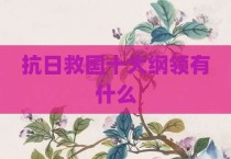 抗日救国十大纲领有什么