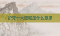 护牙十大流程是什么意思