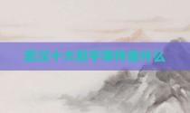 武汉十大邪乎事件是什么