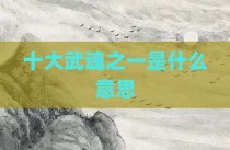 十大武魂之一是什么意思