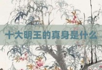 十大明王的真身是什么