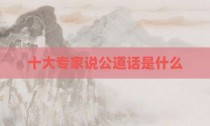 十大专家说公道话是什么