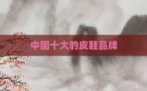 中国十大豹皮鞋品牌