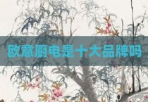 欧意厨电是十大品牌吗