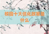 校园十大优化政策是什么