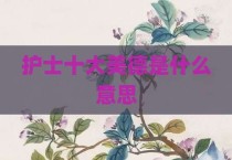 护士十大美德是什么意思