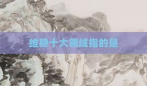 维稳十大领域指的是
