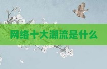 网络十大潮流是什么