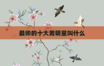 最帅的十大男明星叫什么