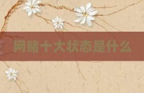 网赌十大状态是什么