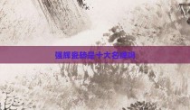 强辉瓷砖是十大名牌吗
