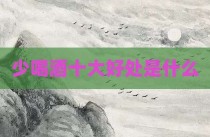 少喝酒十大好处是什么
