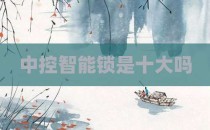 中控智能锁是十大吗