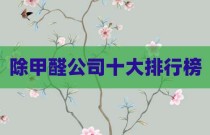 除甲醛公司十大排行榜
