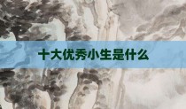 十大优秀小生是什么