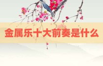 金属乐十大前奏是什么