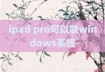 ipad pro可以装windows系统