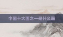 中国十大面之一是什么面