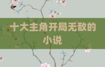 十大主角开局无敌的小说