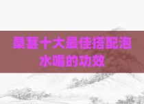 桑葚十大最佳搭配泡水喝的功效