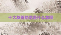 十大友善的龙是什么龙啊
