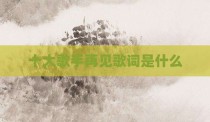 十大歌手再见歌词是什么