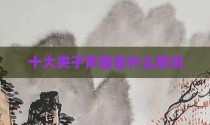 十大夹子声音是什么歌词