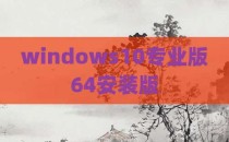 windows10专业版64安装版
