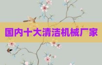 国内十大清洁机械厂家