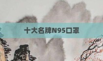 十大名牌N95口罩
