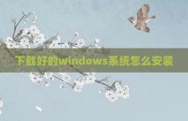 下载好的windows系统怎么安装