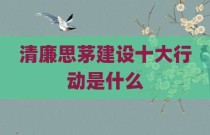 清廉思茅建设十大行动是什么