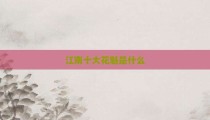 江南十大花魁是什么